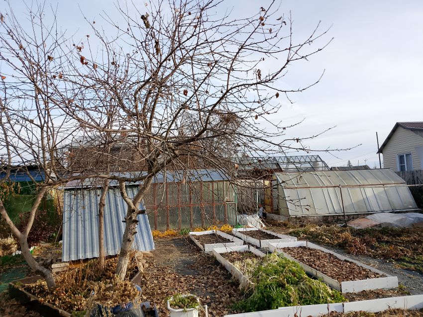 Продажа дома, 54м <sup>2</sup>, 779 сот., Курган, Свободы улица