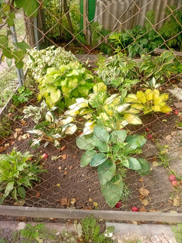 Продажа дома, 54м <sup>2</sup>, 779 сот., Курган, Свободы улица