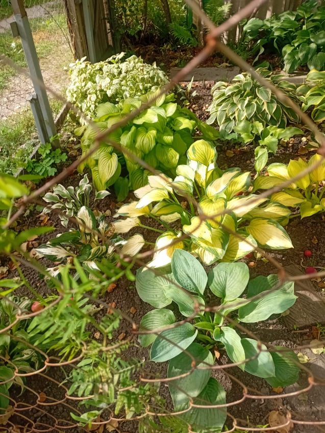 Продажа дома, 54м <sup>2</sup>, 779 сот., Курган, Свободы улица