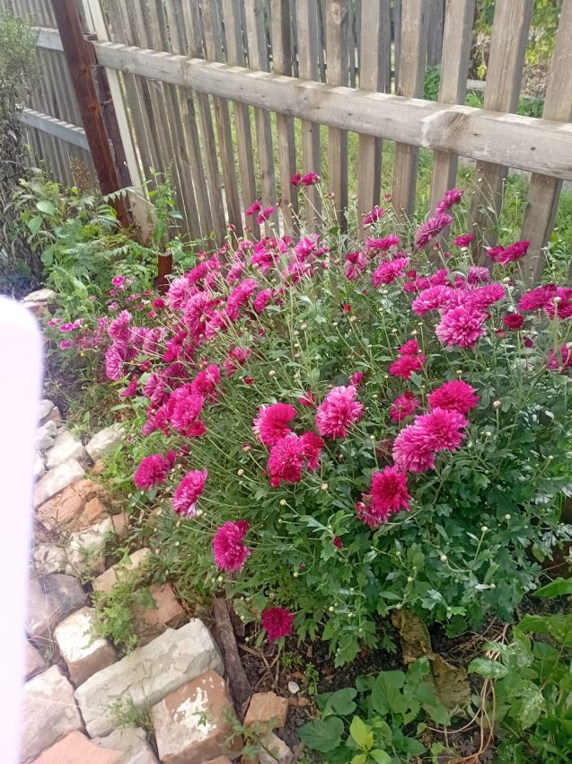 Продажа дома, 54м <sup>2</sup>, 779 сот., Курган, Свободы улица