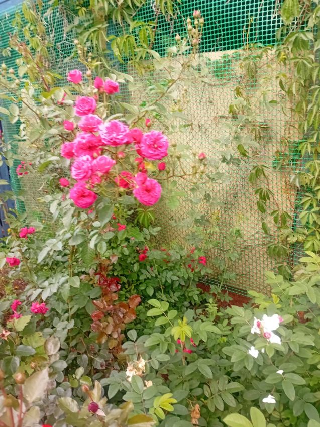 Продажа дома, 54м <sup>2</sup>, 779 сот., Курган, Свободы улица