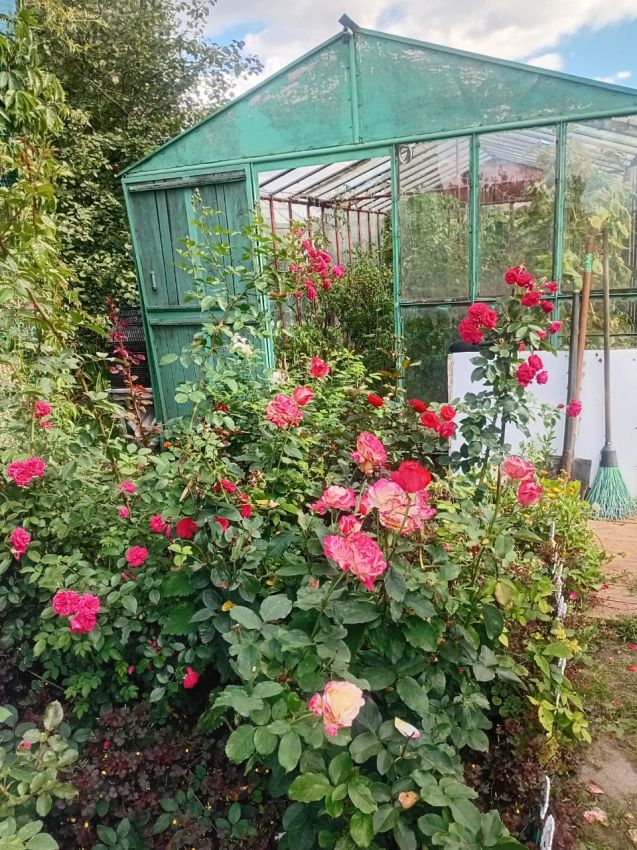 Продажа дома, 54м <sup>2</sup>, 779 сот., Курган, Свободы улица