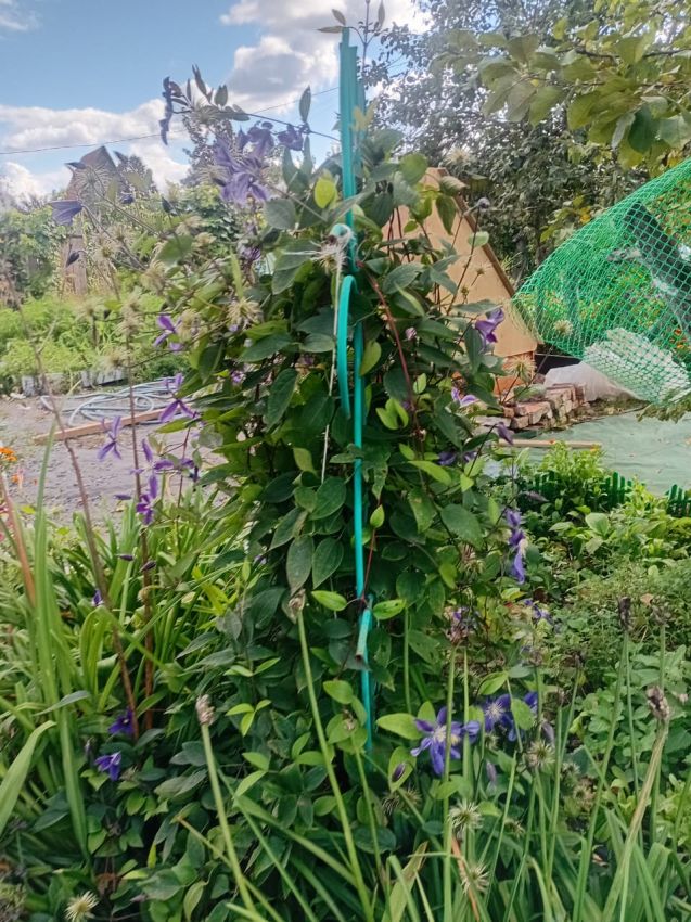 Продажа дома, 54м <sup>2</sup>, 779 сот., Курган, Свободы улица