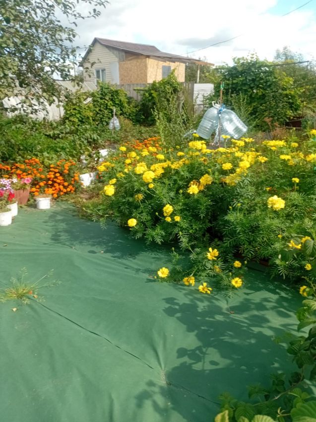 Продажа дома, 54м <sup>2</sup>, 779 сот., Курган, Свободы улица