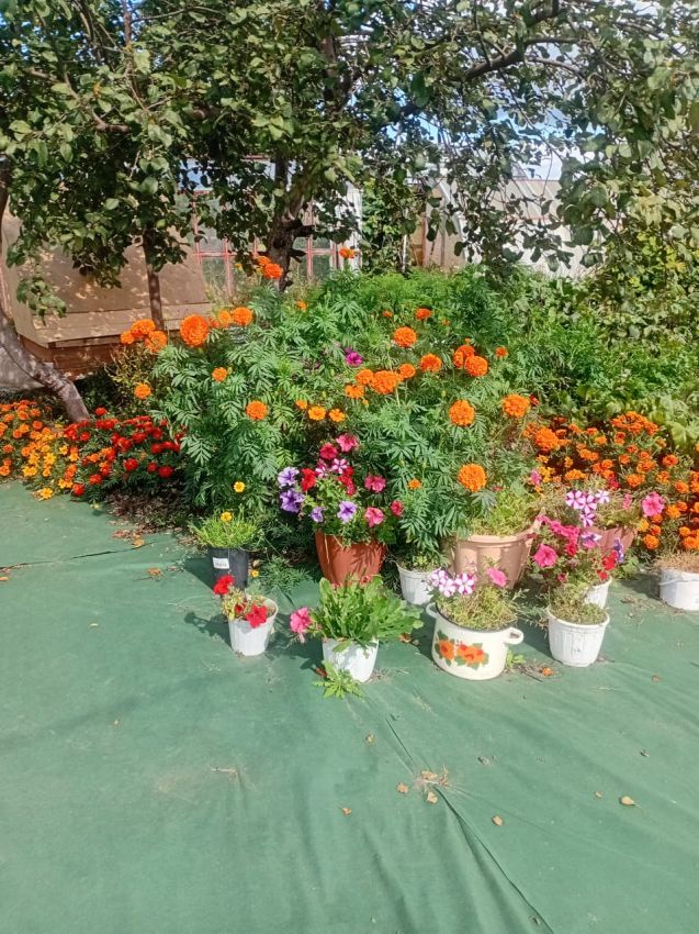 Продажа дома, 54м <sup>2</sup>, 779 сот., Курган, Свободы улица