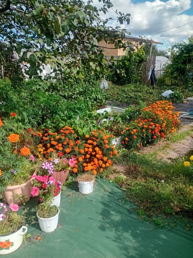 Продажа дома, 54м <sup>2</sup>, 779 сот., Курган, Свободы улица