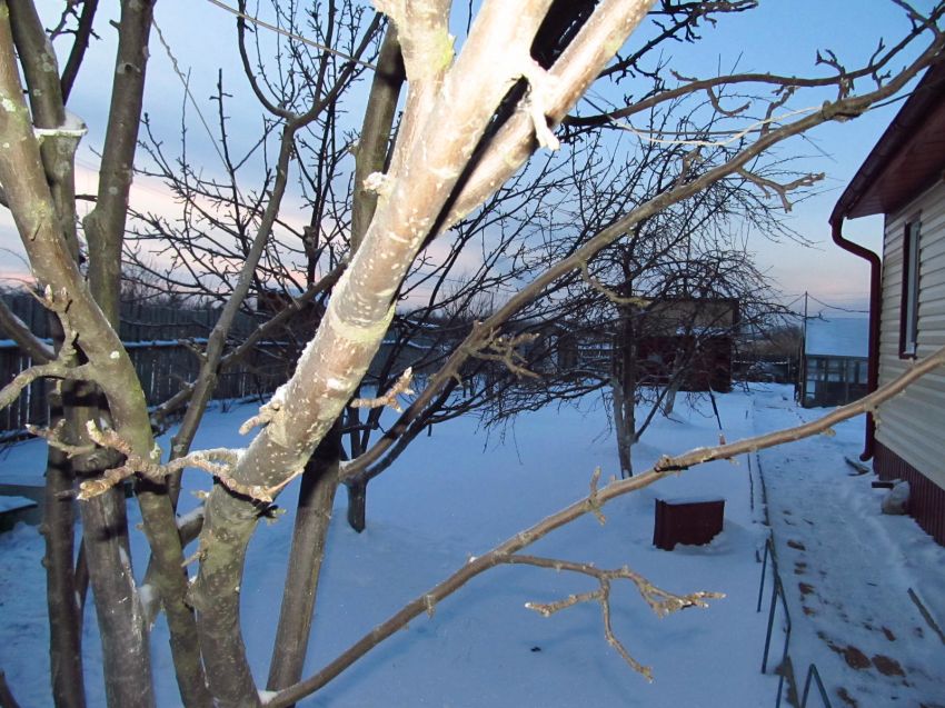 Продажа дома, 60м <sup>2</sup>, 9 сот., Курган, Увал автодорога