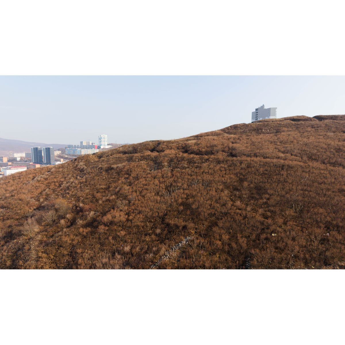 1-комнатная, 52.88 м², № 14 в Premium Park Central (Премиум Парк)