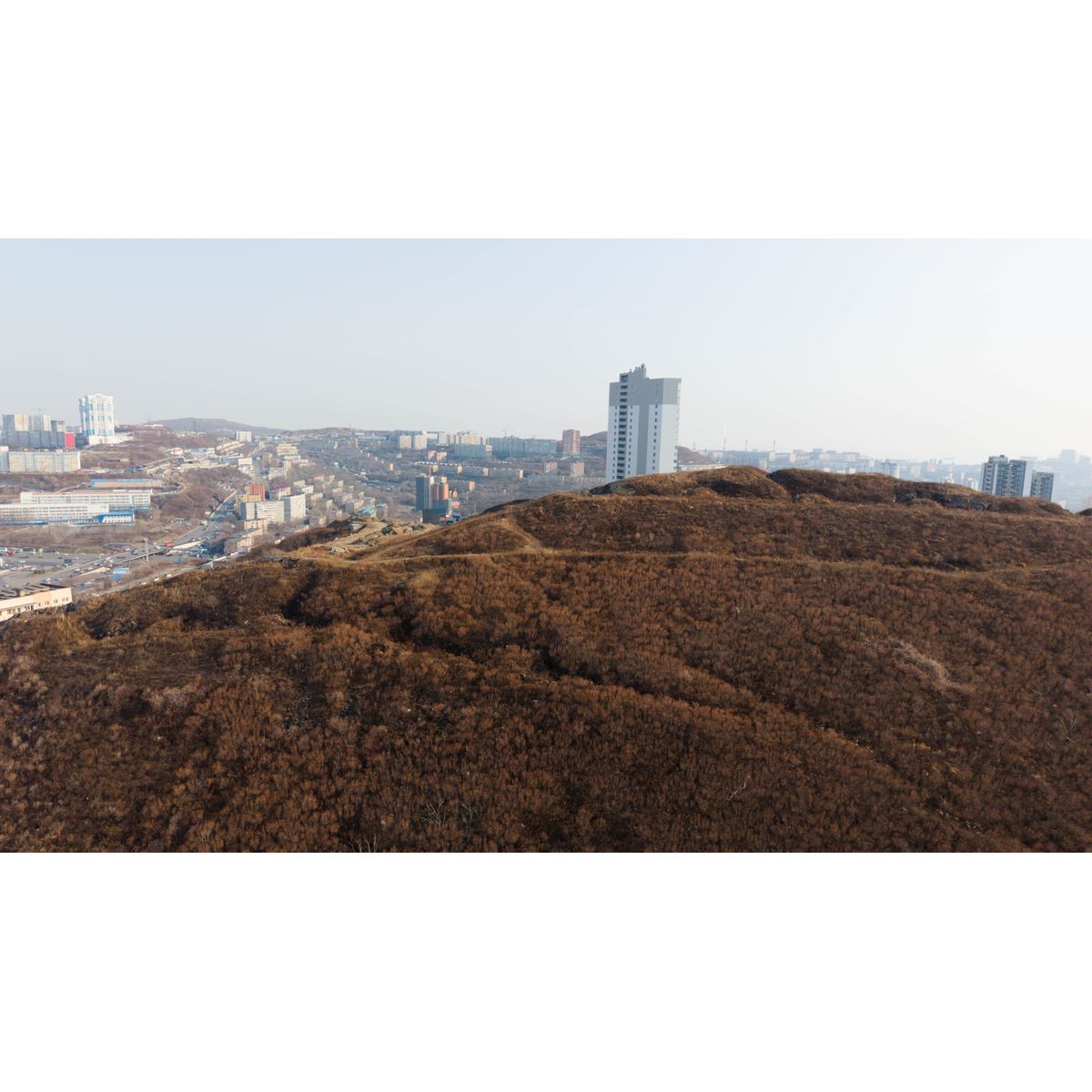 1-комнатная, 33.46 м², № 210 в Premium Park Central (Премиум Парк)