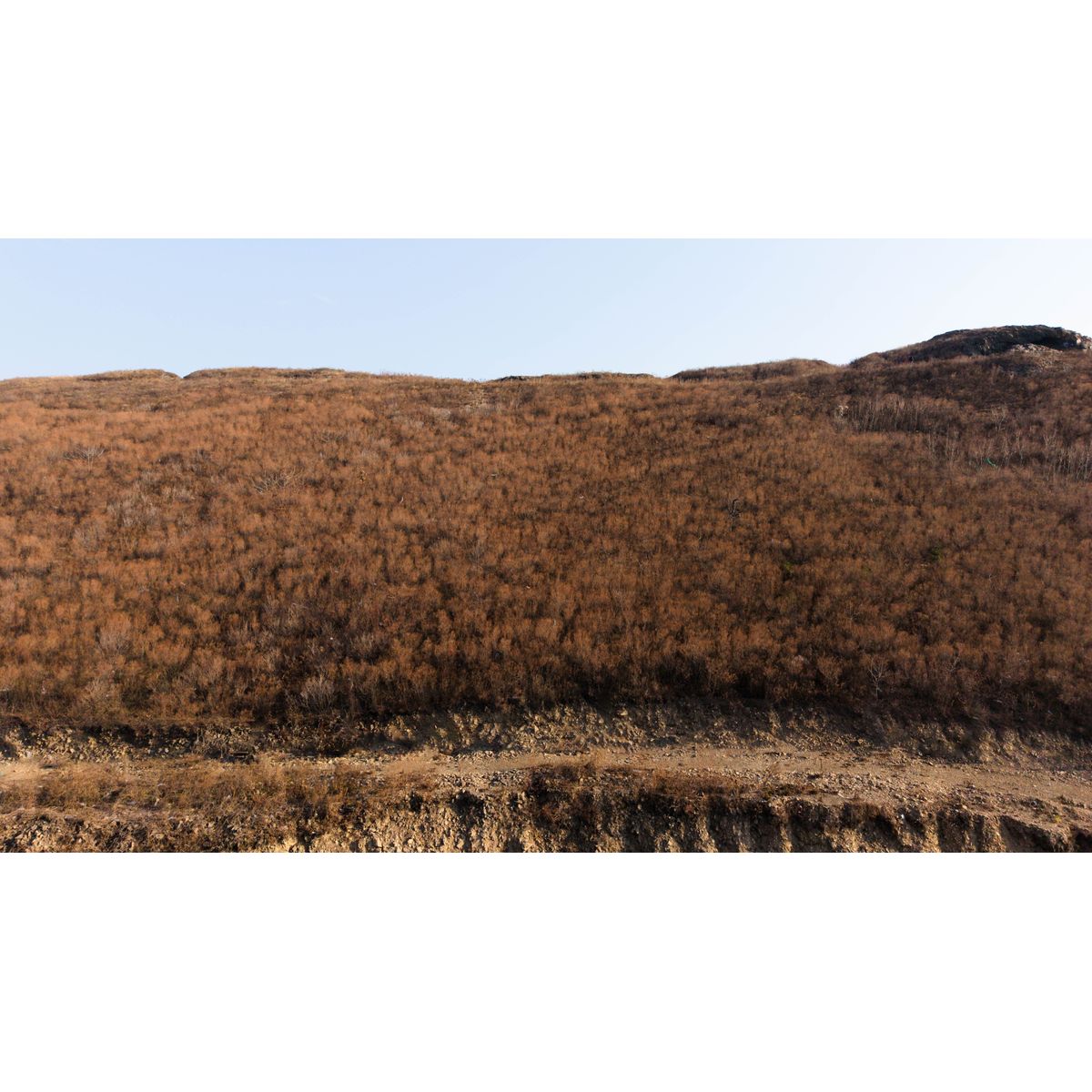 1-комнатная, 53.68 м², № 332 в Premium Park Central (Премиум Парк)