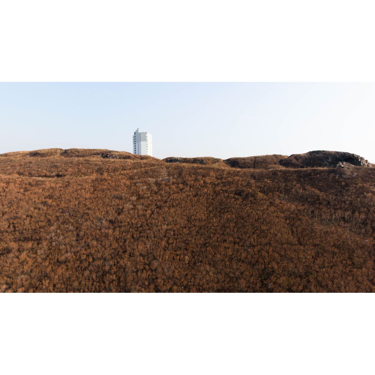 1-комнатная, 36.8 м², № 447 в Premium Park Central (Премиум Парк)