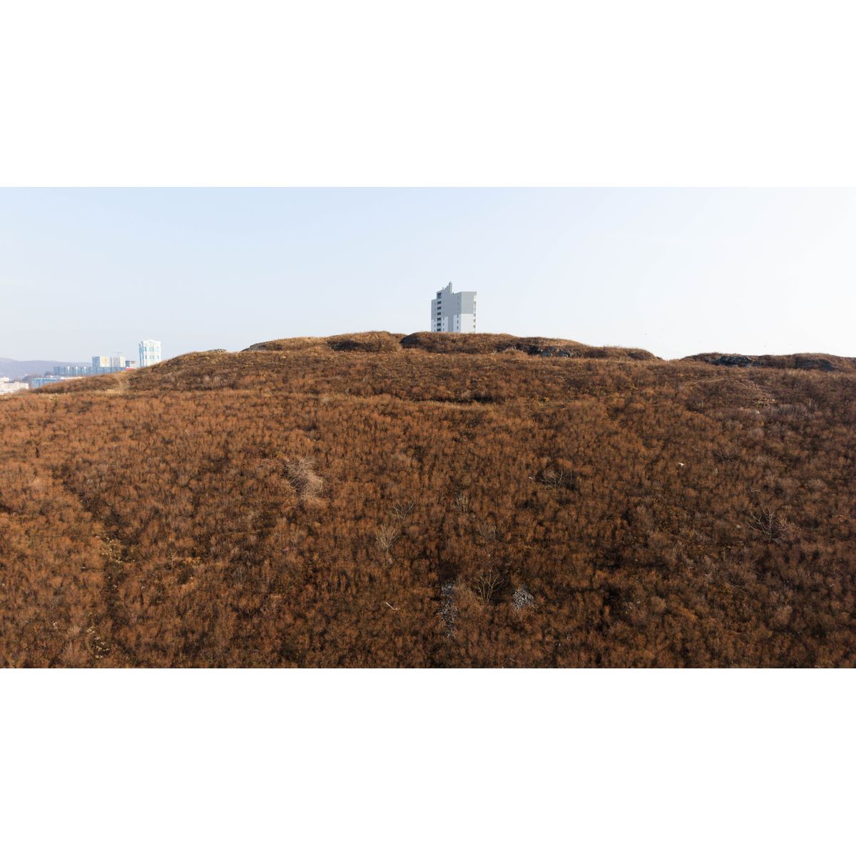 1-комнатная, 36.74 м², № 264 в Premium Park Central (Премиум Парк)