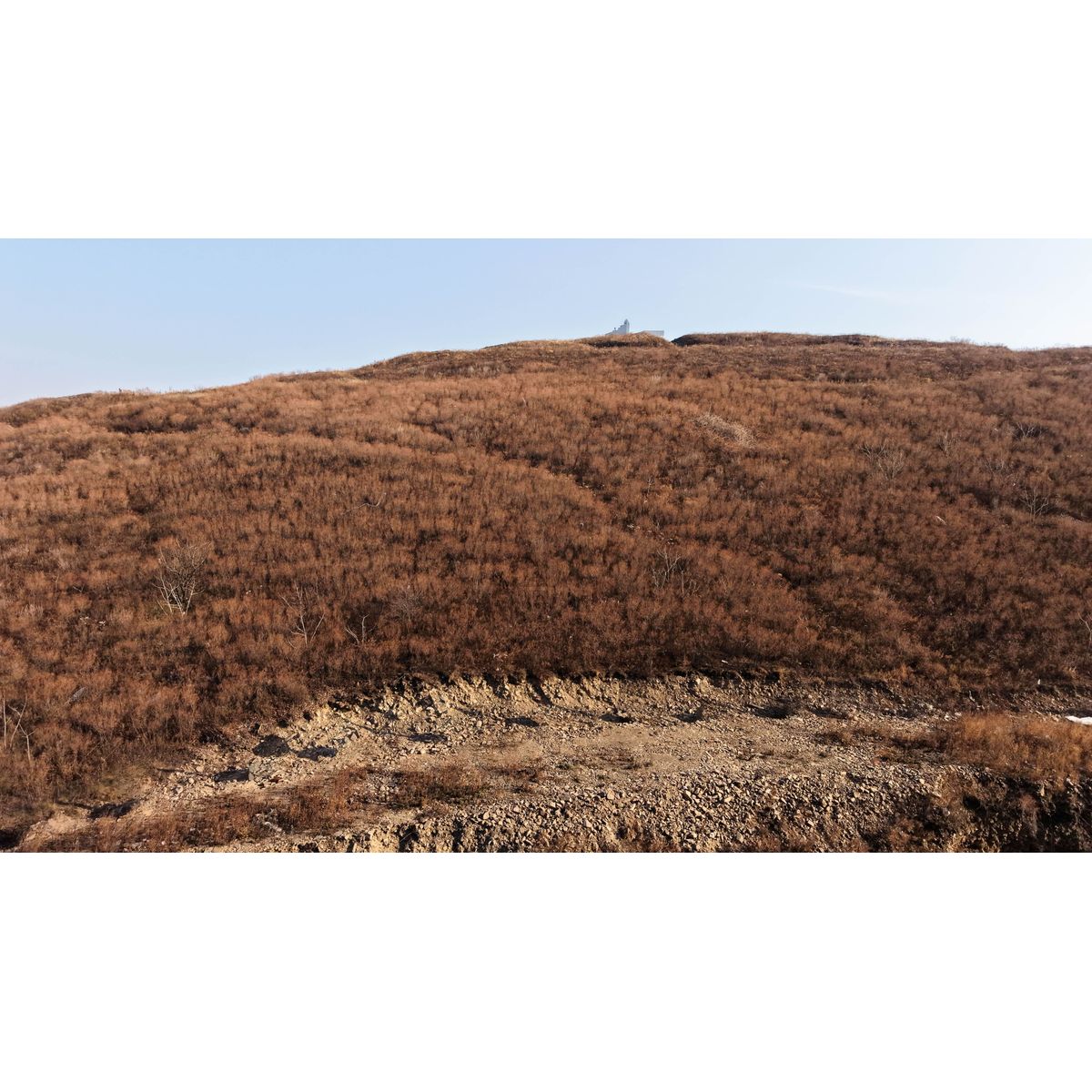 2-комнатная, 46.81 м², № 87 в Premium Park Central (Премиум Парк)