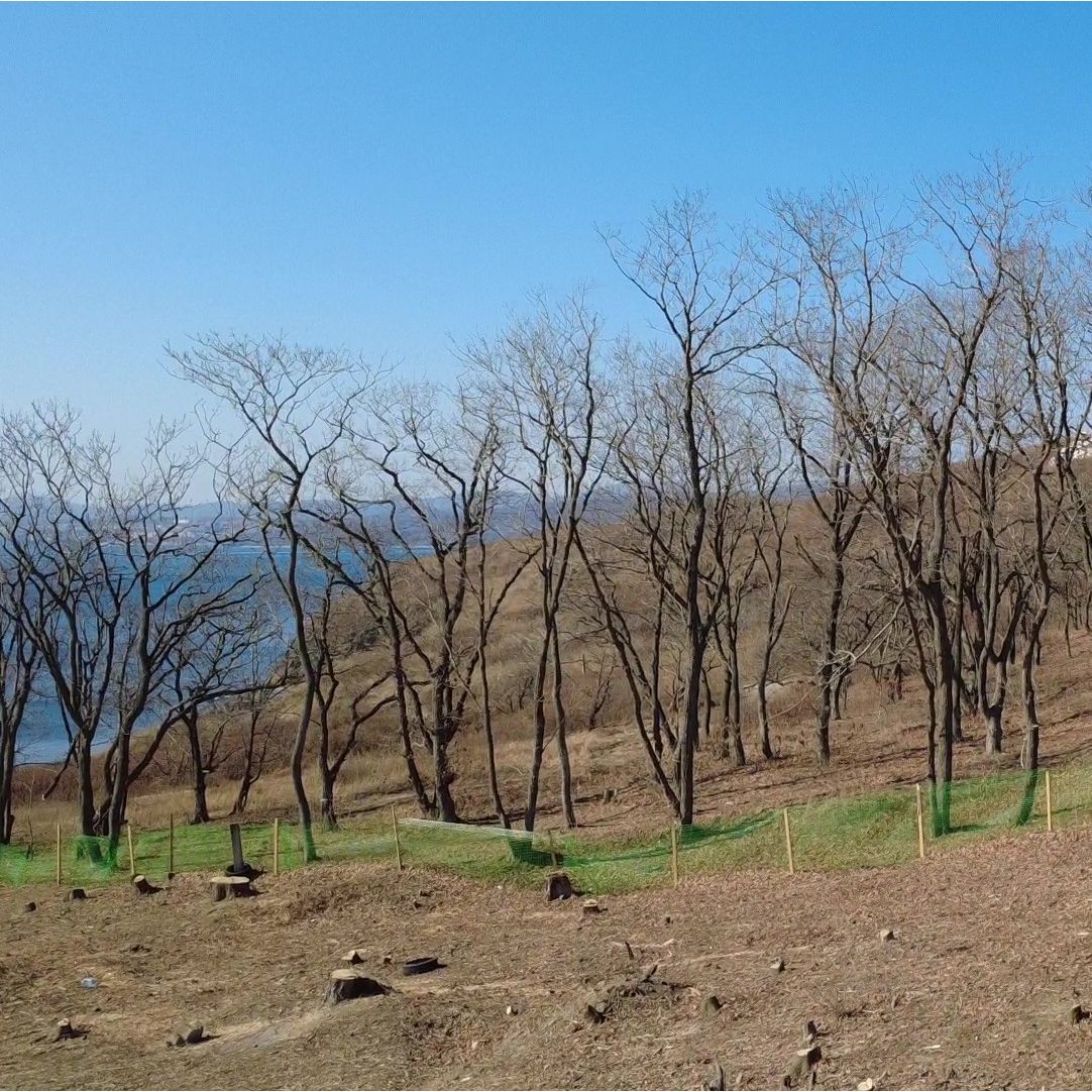 2-комнатная, 65.11 м², № 18 в Бронза