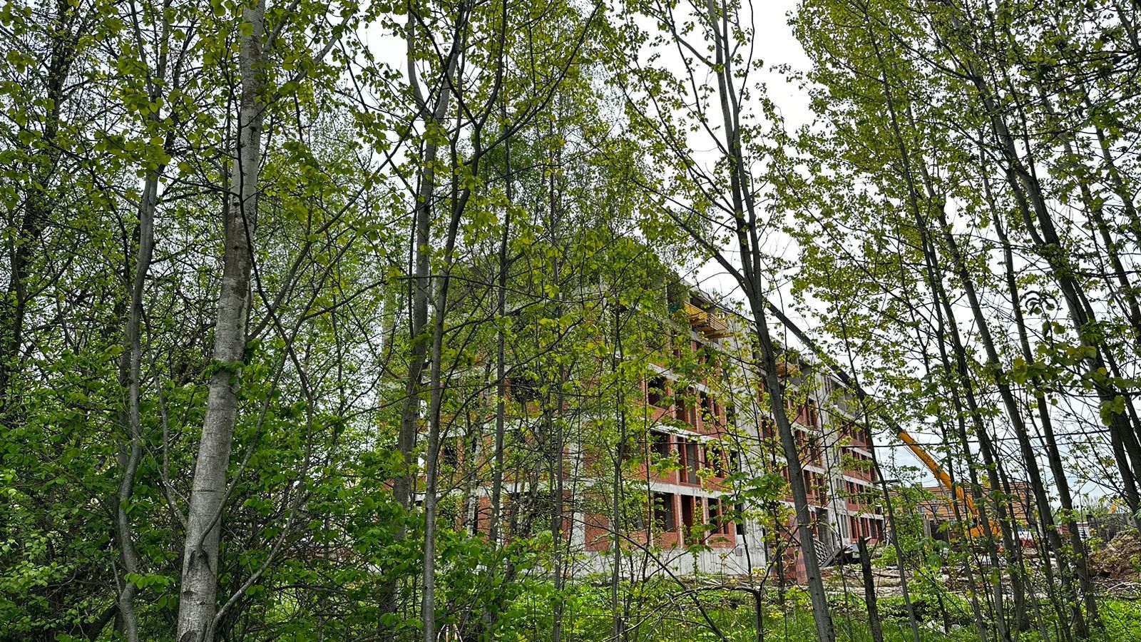 Планировка 1-комн. 19