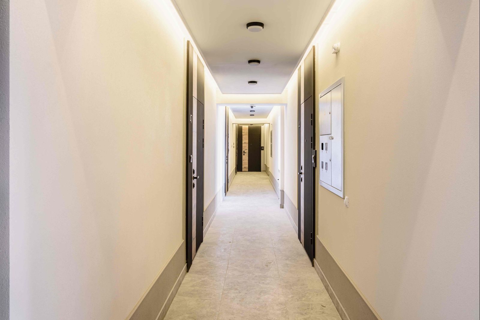 Планировка 1-комн. 50