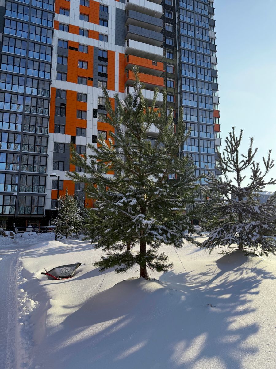 Планировка Студия 12