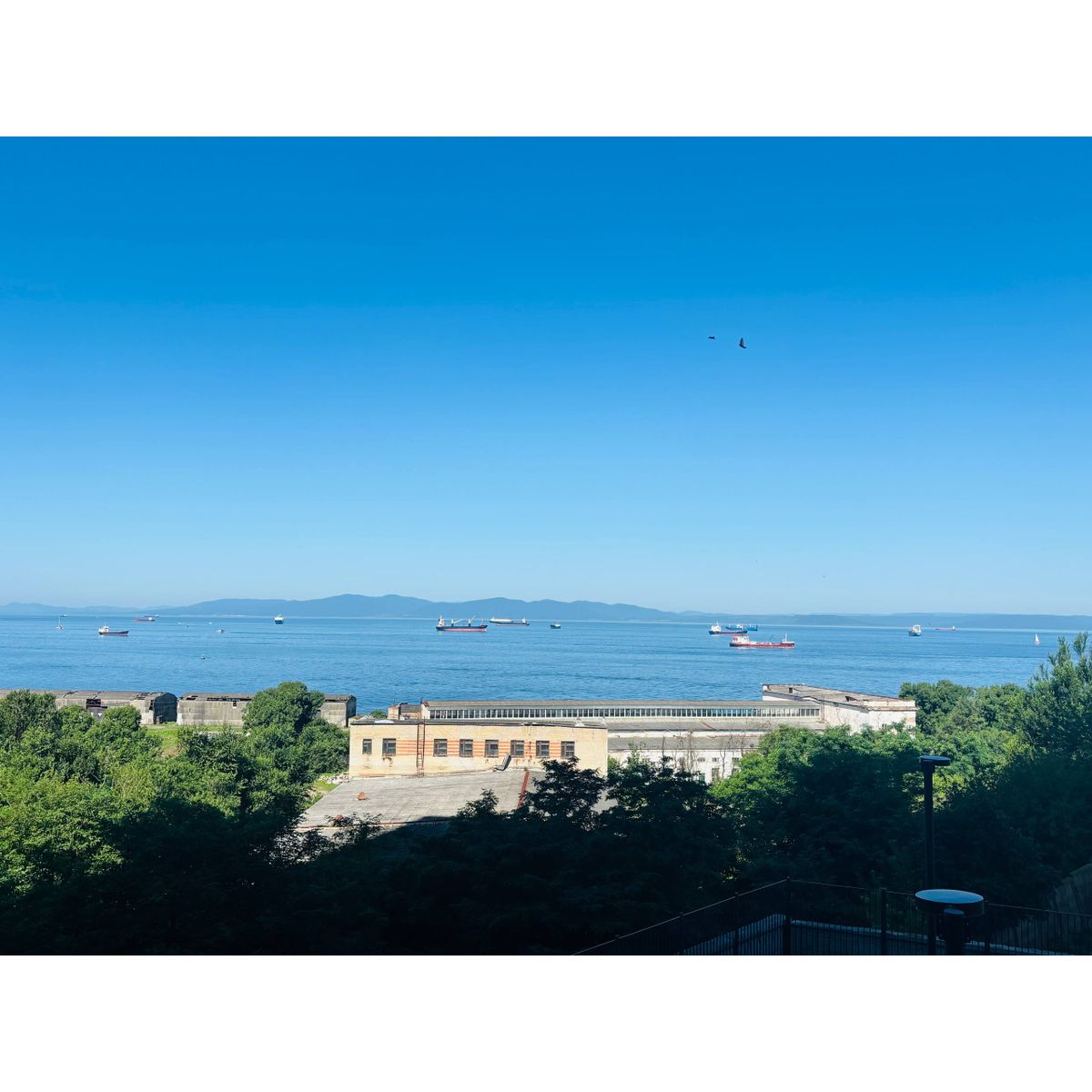 2-комнатная, 80.46 м², № 202 в Амурский