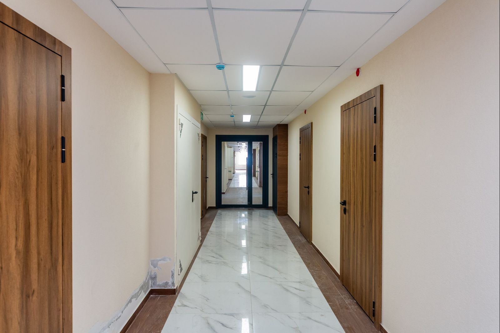 Планировка Студия 25
