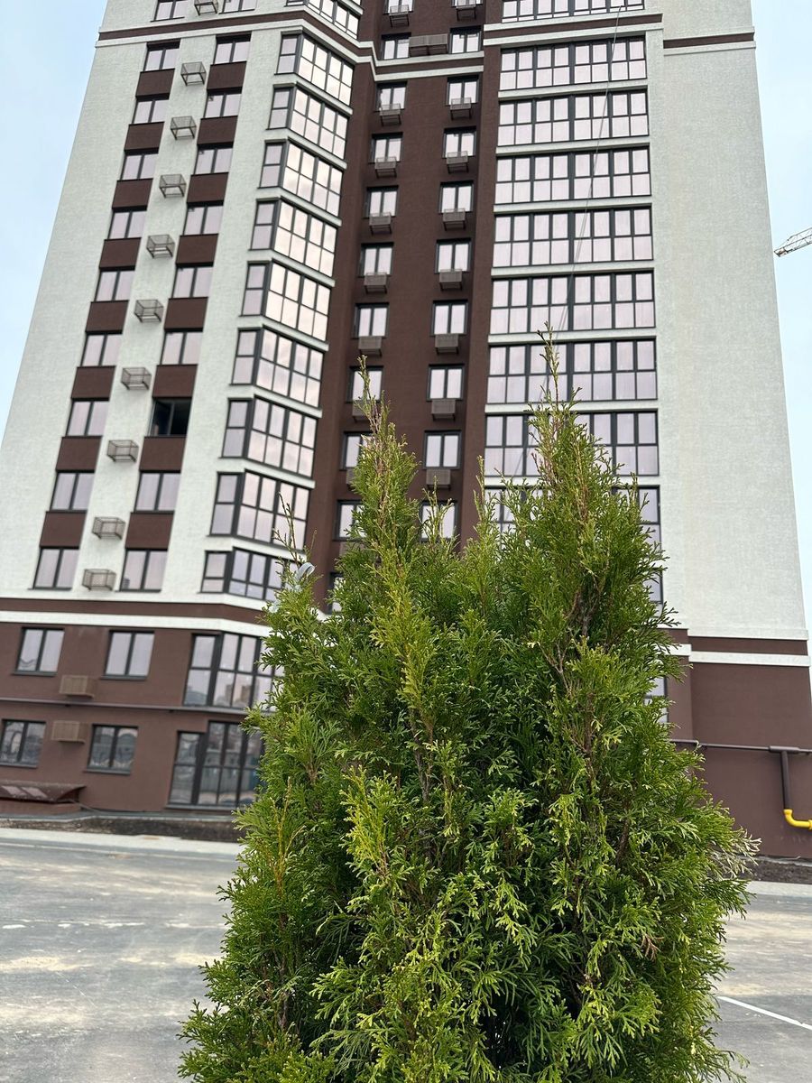 Планировка 1-комн. 7