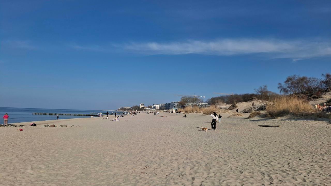 Планировка 1-комн. 4