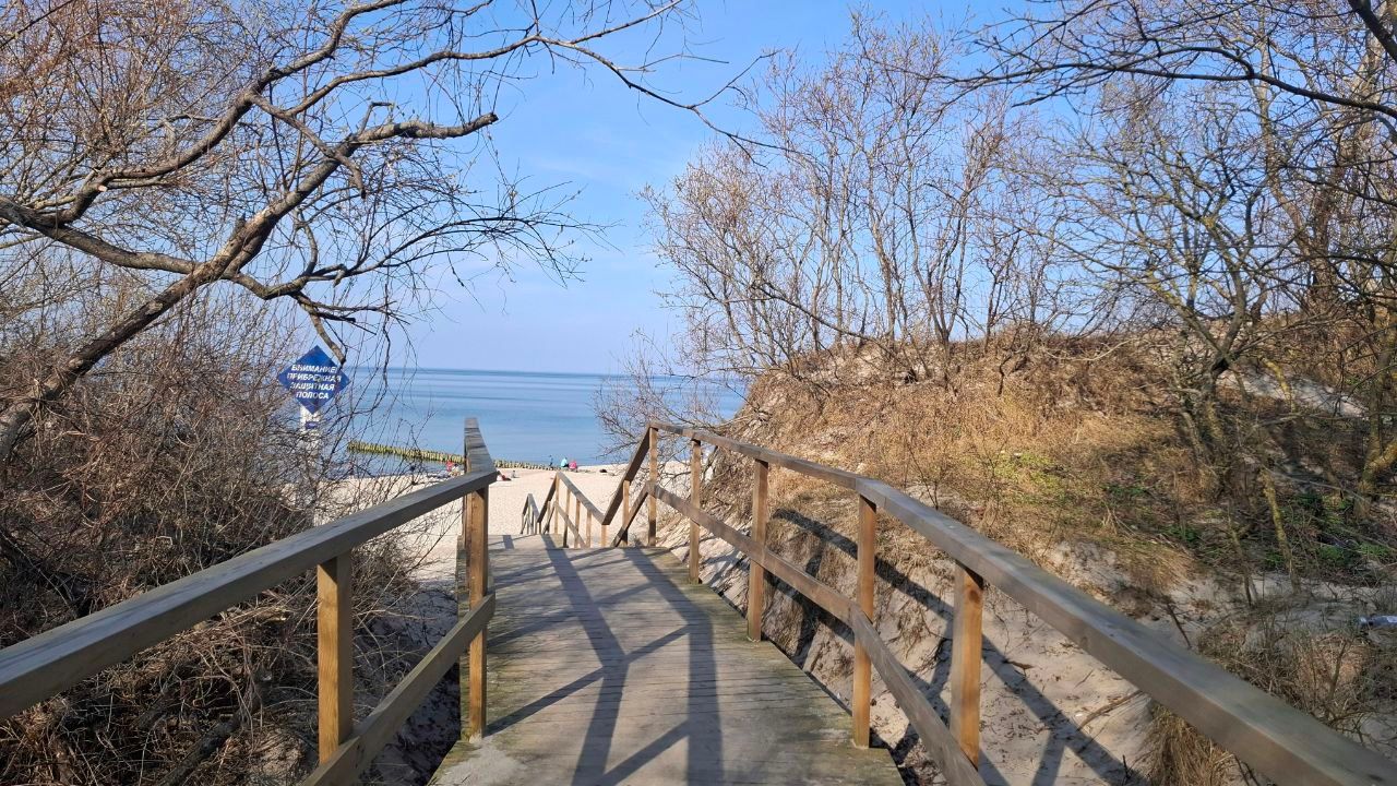 Планировка 1-комн. 12