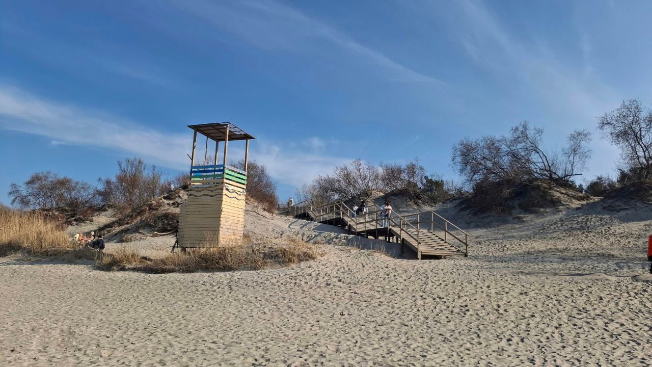 Планировка 1-комн. 19