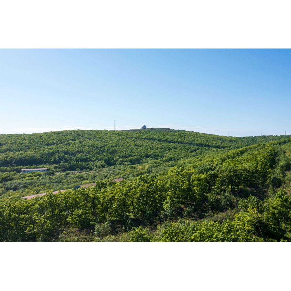 1-комнатная, 39.8 м², № 365 в Посейдония