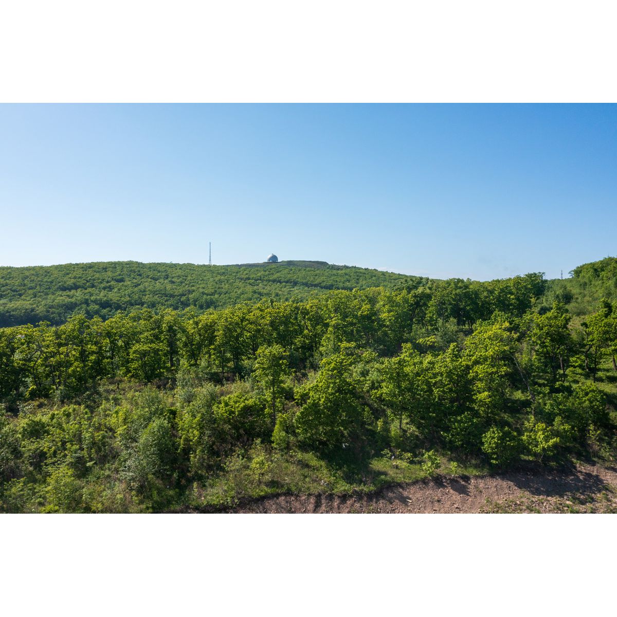 2-комнатная, 69.5 м², № 313 в Посейдония