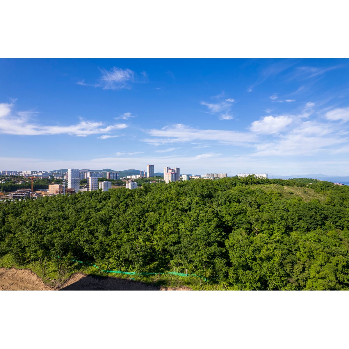 1-комнатная, 39.9 м², № 162 в Посейдония