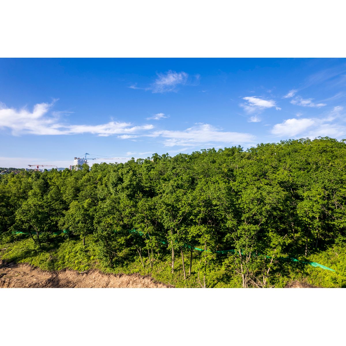 1-комнатная, 43.3 м², № 82 в Посейдония