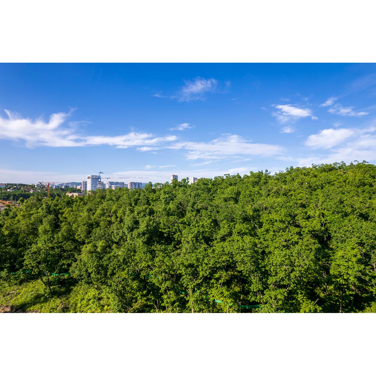 1-комнатная, 43.3 м², № 102 в Посейдония