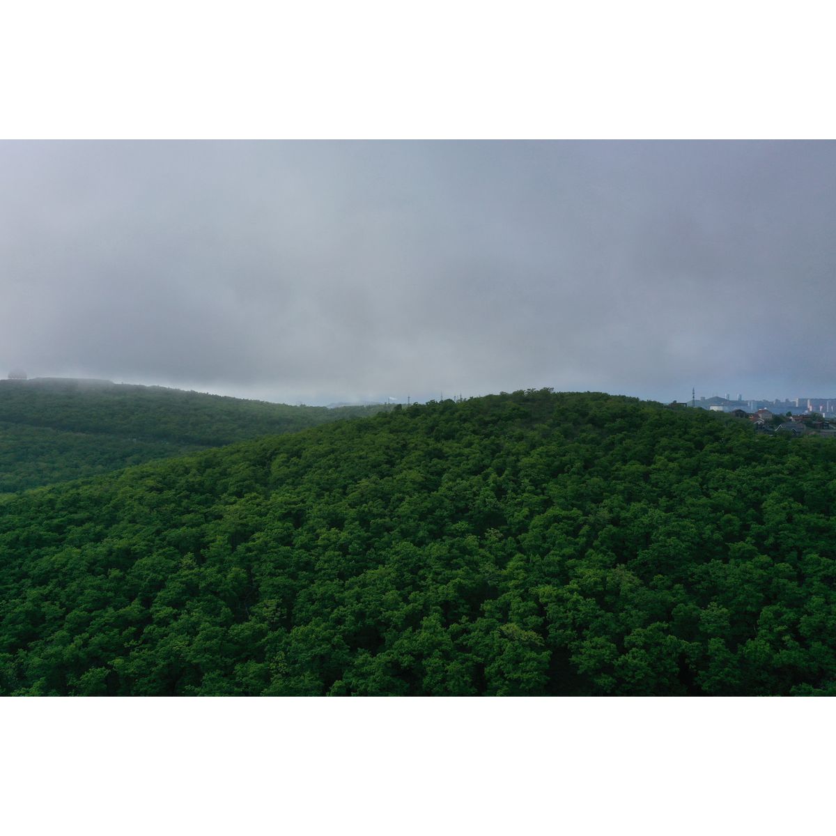 2-комнатная, 62.31 м², № 180 в Посейдония