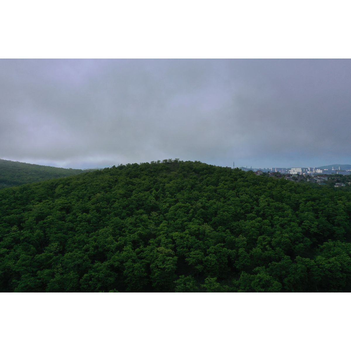 2-комнатная, 62.31 м², № 150 в Посейдония