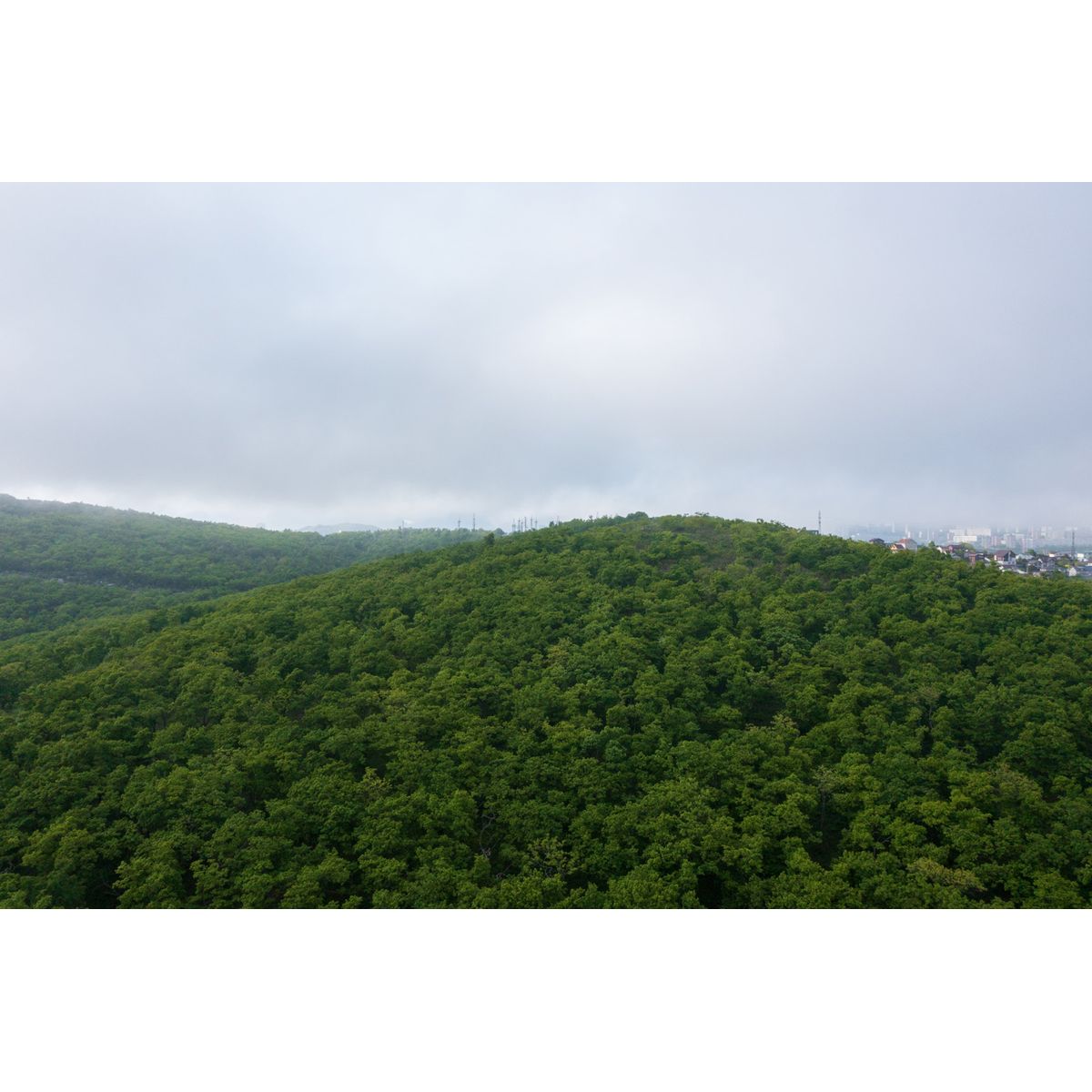 2-комнатная, 62.31 м², № 406 в Посейдония