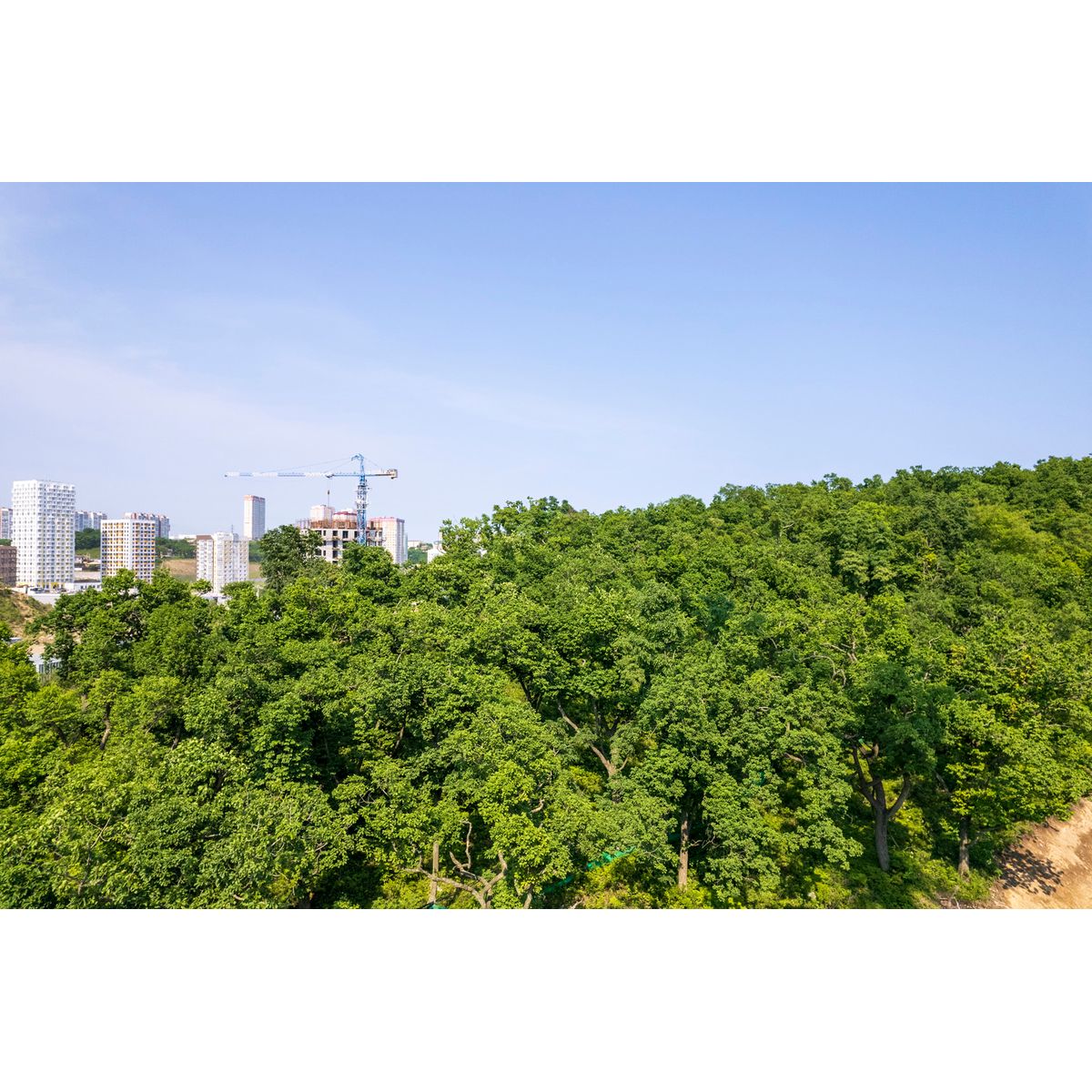 3-комнатная, 83.27 м², № 391 в Посейдония