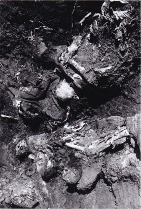 Жители г. Славянска рассматривают только что откопанные трупы жертв немецкой оккупации (свыше 3-х тысяч) на месте боев. Г. Славянск. 1943.