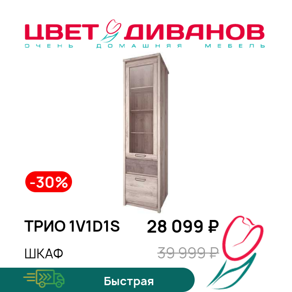 

Шкаф Трио 1V1D1S, Каштан найроби/оникс, Трио 1V1D1S