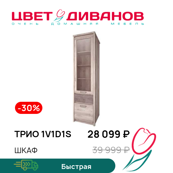 

Шкаф Трио 1V1D1S, Каштан найроби/оникс, Трио 1V1D1S