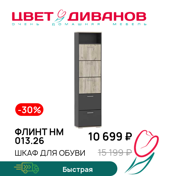

Шкаф для обуви Флинт НМ 013.26, Дуб крафт серый/антрацит, Флинт НМ 013.26
