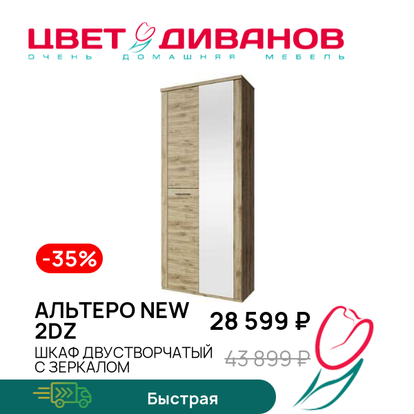 

Шкаф двустворчатый с зеркалом Альтеро New 2DZ, Дуб наварра, Альтеро New 2DZ