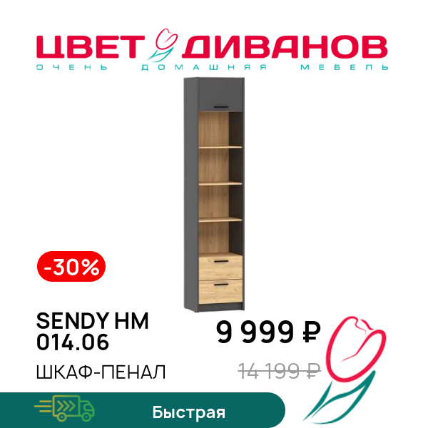 

Шкаф-пенал Sendy НМ 014.06, Антрацит/дуб крафт золотой, Sendy НМ 014.06