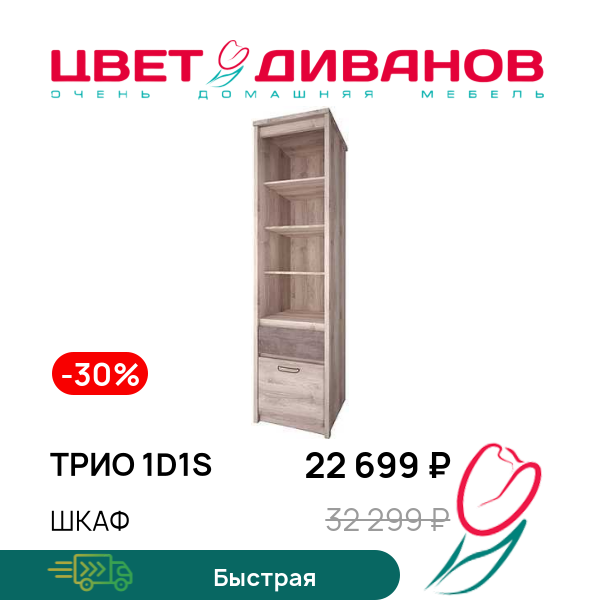 

Шкаф Трио 1D1S, Каштан найроби/оникс, Трио 1D1S