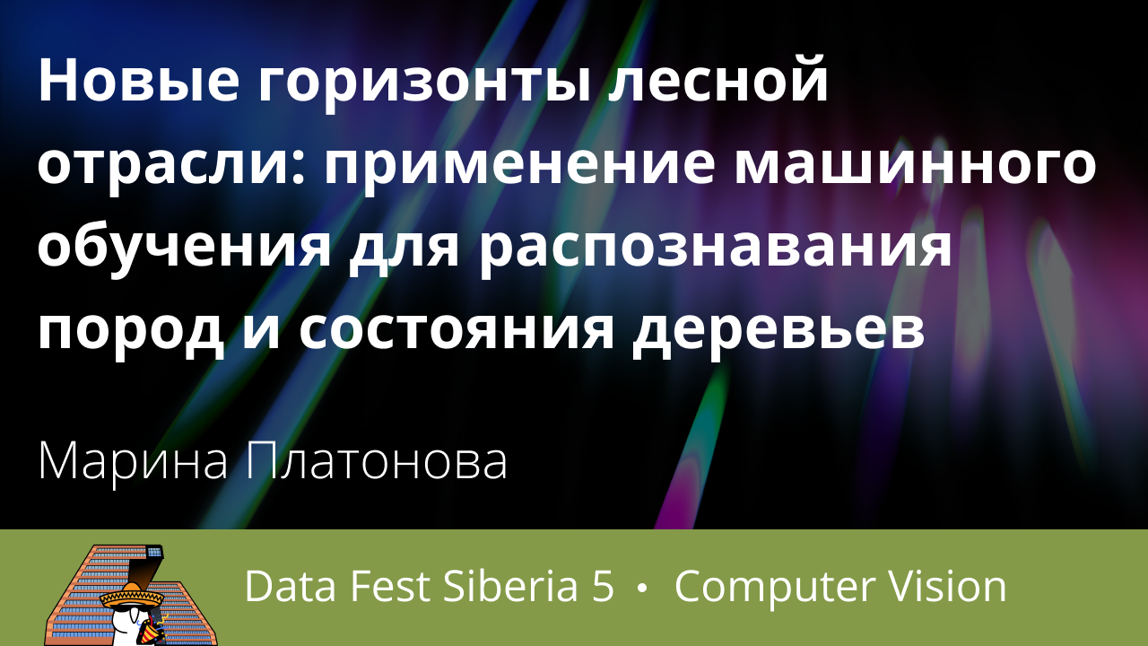 Новые горизонты лесной отрасли: применение машинного обучения для распознавания пород и состояния деревьев