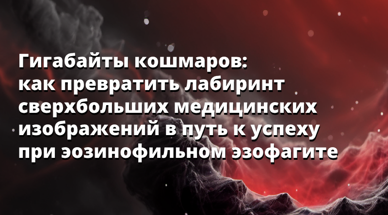 Гигабайты кошмаров: как превратить лабиринт сверхбольших медицинских изображений в путь к успеху при эозинофильном эзофагите