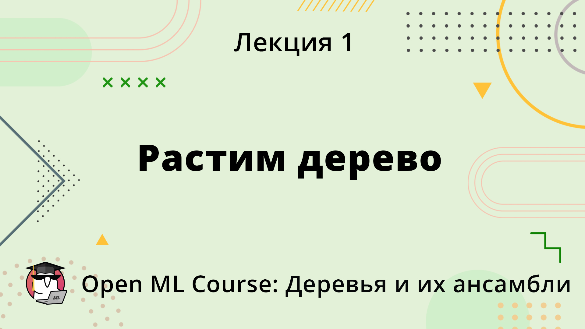 Растим дерево