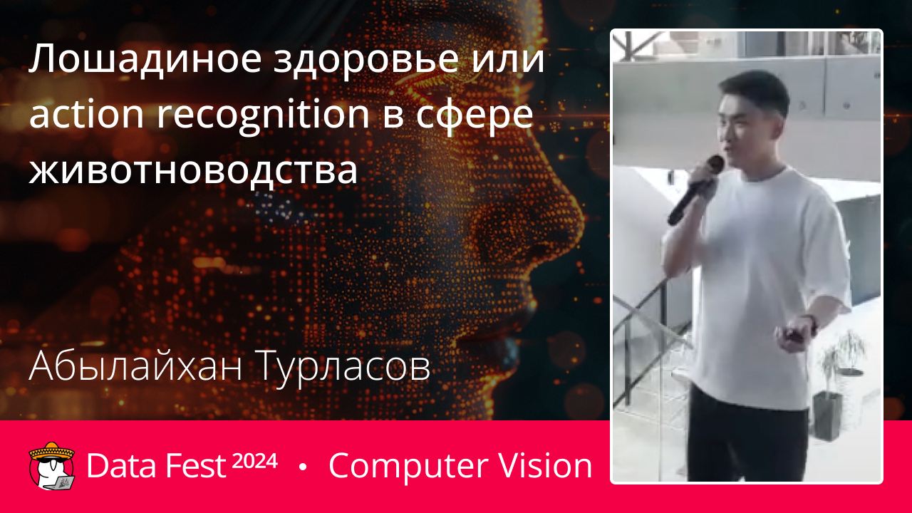 Лошадиное здоровье или action recognition в сфере животноводства