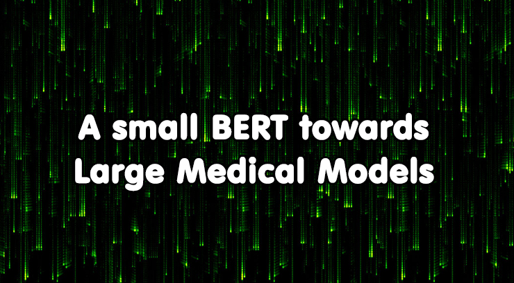 A small BERT towards Large Medical Models