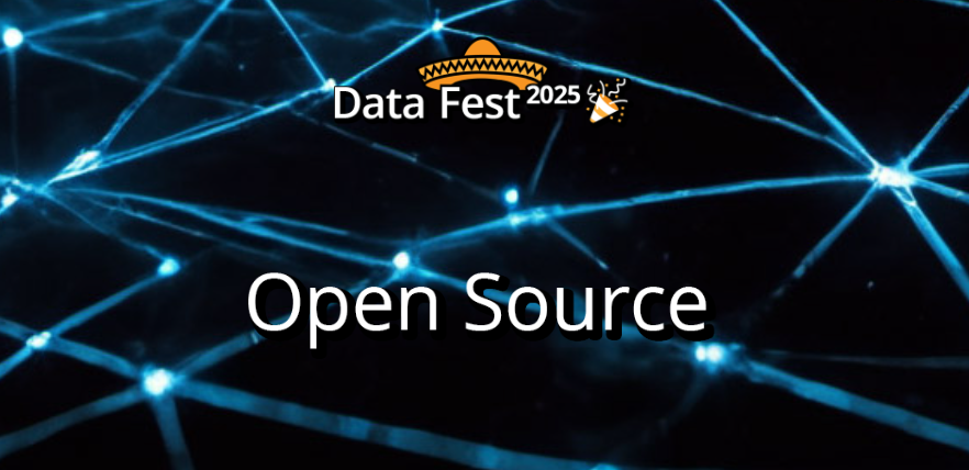 OpenSource | Data Fest 2025