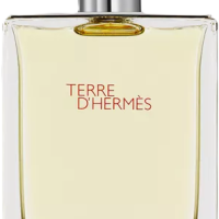 Hermes Terre d'Hermes 100ml (Туалетная вода)